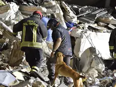 Scavi nelle macerie di Amatrice