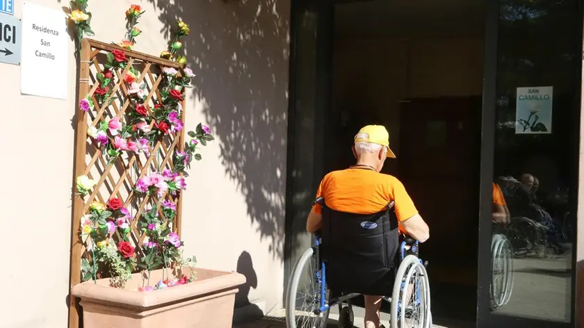 san Camillo 05-10-15