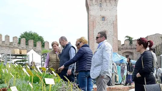 cesaro - este - 23/04/2017 - este in fiore 2017 - .Nella foto: la gente, il cibo e i fiori; gli intrattenimenti come i balli, la musica e i cavalli per i bambini.ph zangirolami