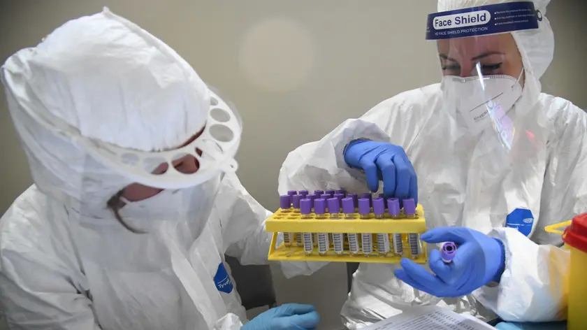 mattinopadova.gelocal.it