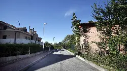 La strada in cui è stato trovato il serpente