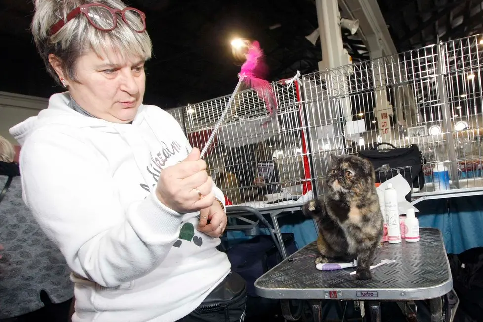 MARIAN - AGENZIA BIANCHI - PADOVA - FIERA DEI GATTIADIDAS E EMANUELA NARDIN