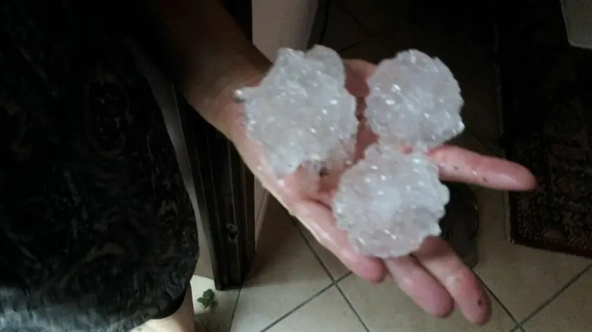 I chicchi di grandine caduti al confine tra Cittadella e Galliera Veneta