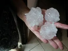 I chicchi di grandine caduti al confine tra Cittadella e Galliera Veneta