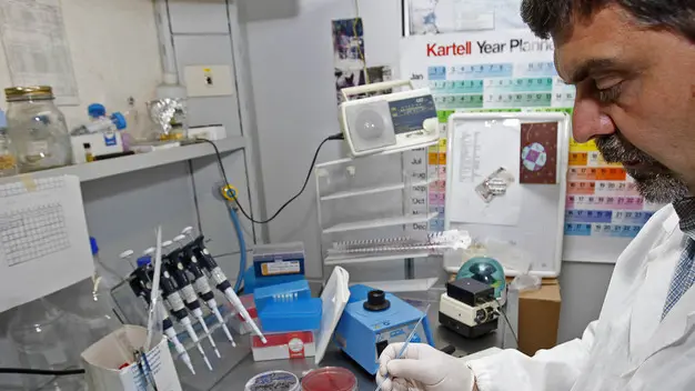 Analisi di cetrioli inviati dalla Germania nel laboratorio europeo di riferimento per escherichiacoli, oggi 31 maggio 2011 a Roma. "Non si può escludere che la variante dell'escherichia coli, ora diffusa in Germania, possa arrivare in Italia. Ma si può escludere la trasmissione dell'infezione adottando e mantenendo regole di igiene, come quella di lavare accuratamente le mani, la frutta e la verdura". A dirlo il ministro della Salute, Ferruccio Fazio, a margine di una conferenza stampa presso il suo Ministero. ANSA/ALESSANDRO DI MEO