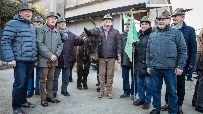 Allegranzi Anzano Il mulo alpino