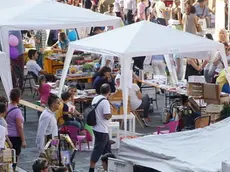 MARIAN - AGENZIA BIANCHI - PADOVA - PIAZZA SIGNORI, ASSOCIAZIONI AMBIENTALISTE