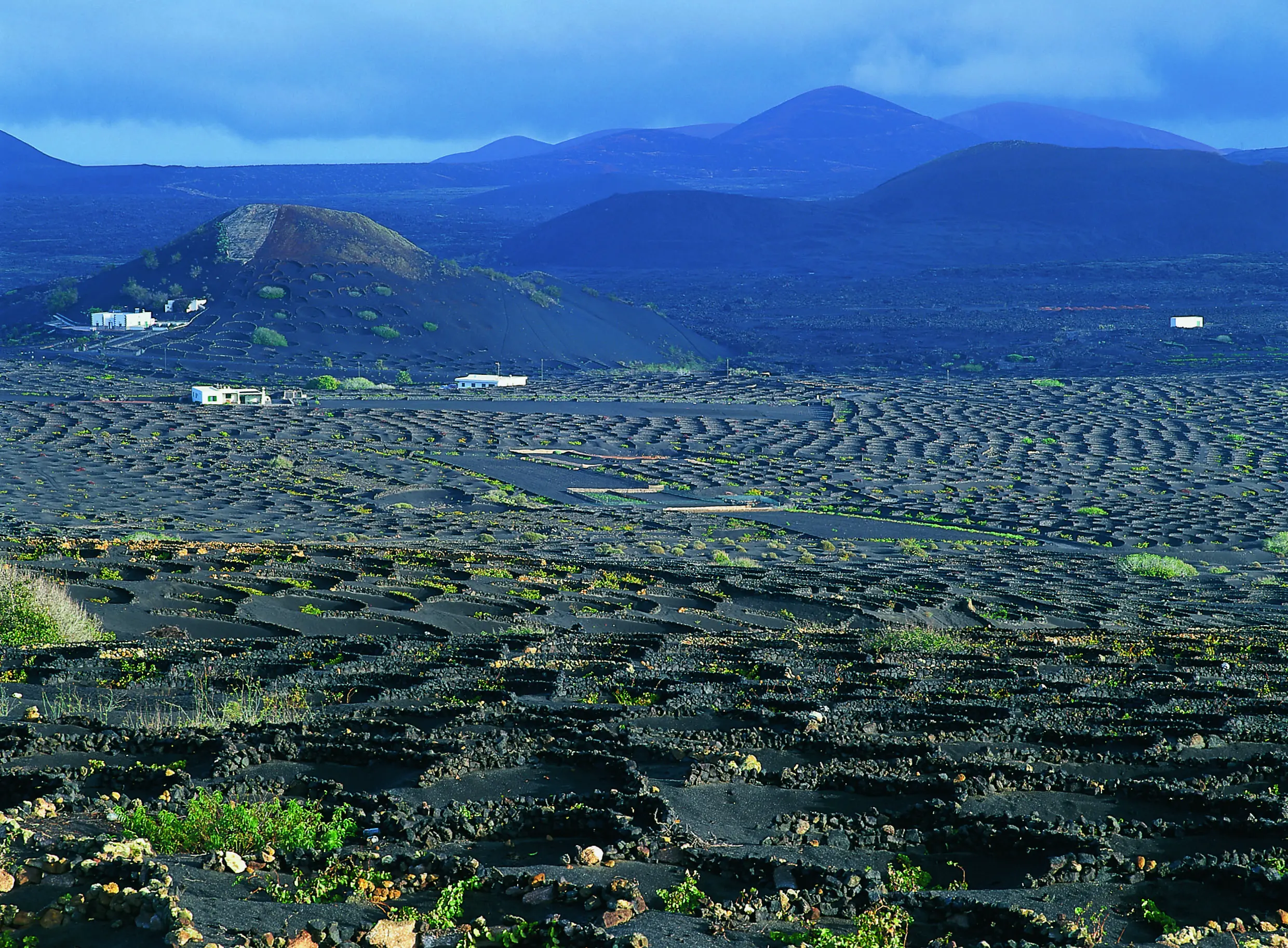 Lanzarote, Gería - Panorámica de Paisaje Protegido de la Gería - Viñedos ©Ente Spagnolo del Turismo - Turespaña