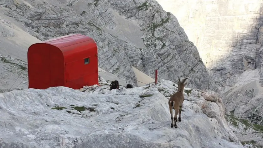 Il Bivacco Comici, al quale era diretto l'anziano escursionista