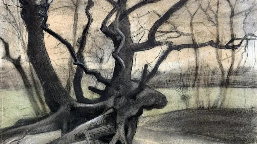 Van Gogh: Tre radici sul terreno sabbioso, 1882. E' uno dei 129 capolavori, 43 oli e 86 disegni, prestiti eccezionali dei maggiori musei del mondo (primo fra tutti il Kroller-Muller Museum di Otterlo), esposti dal 7 ottobre all'8 aprile negli splendidi spazi della Basilica Palladiana di Vicenza nell'ambito della mostra 'Van Gogh. Tra il grano e il cielo'. Vicenza, il 4 ottobre 2017. ANSA/ UFFICIO STAMPA +++ ANSA PROVIDES ACCESS TO THIS HANDOUT PHOTO TO BE USED SOLELY TO ILLUSTRATE NEWS REPORTING OR COMMENTARY ON THE FACTS OR EVENTS DEPICTED IN THIS IMAGE; NO ARCHIVING; NO LICENSING +++