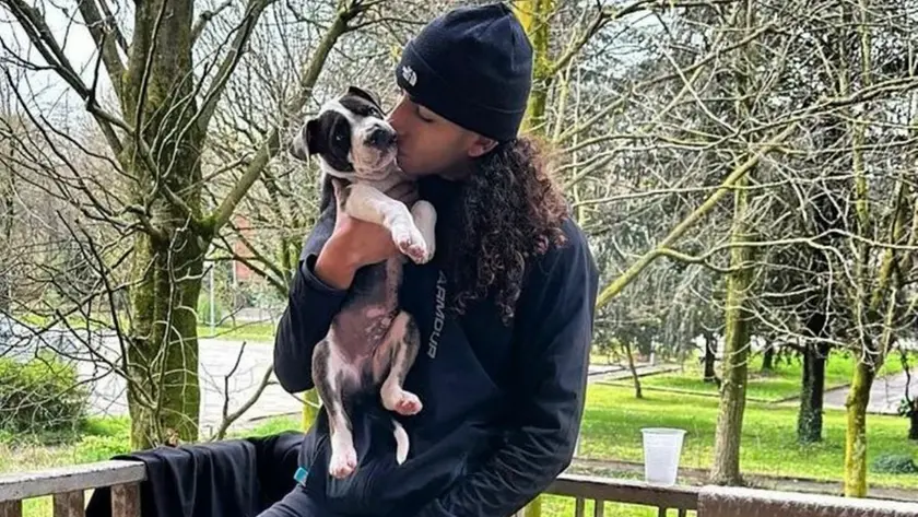 Baby Touché con il suo pittbull nell’abitazione di Conselve