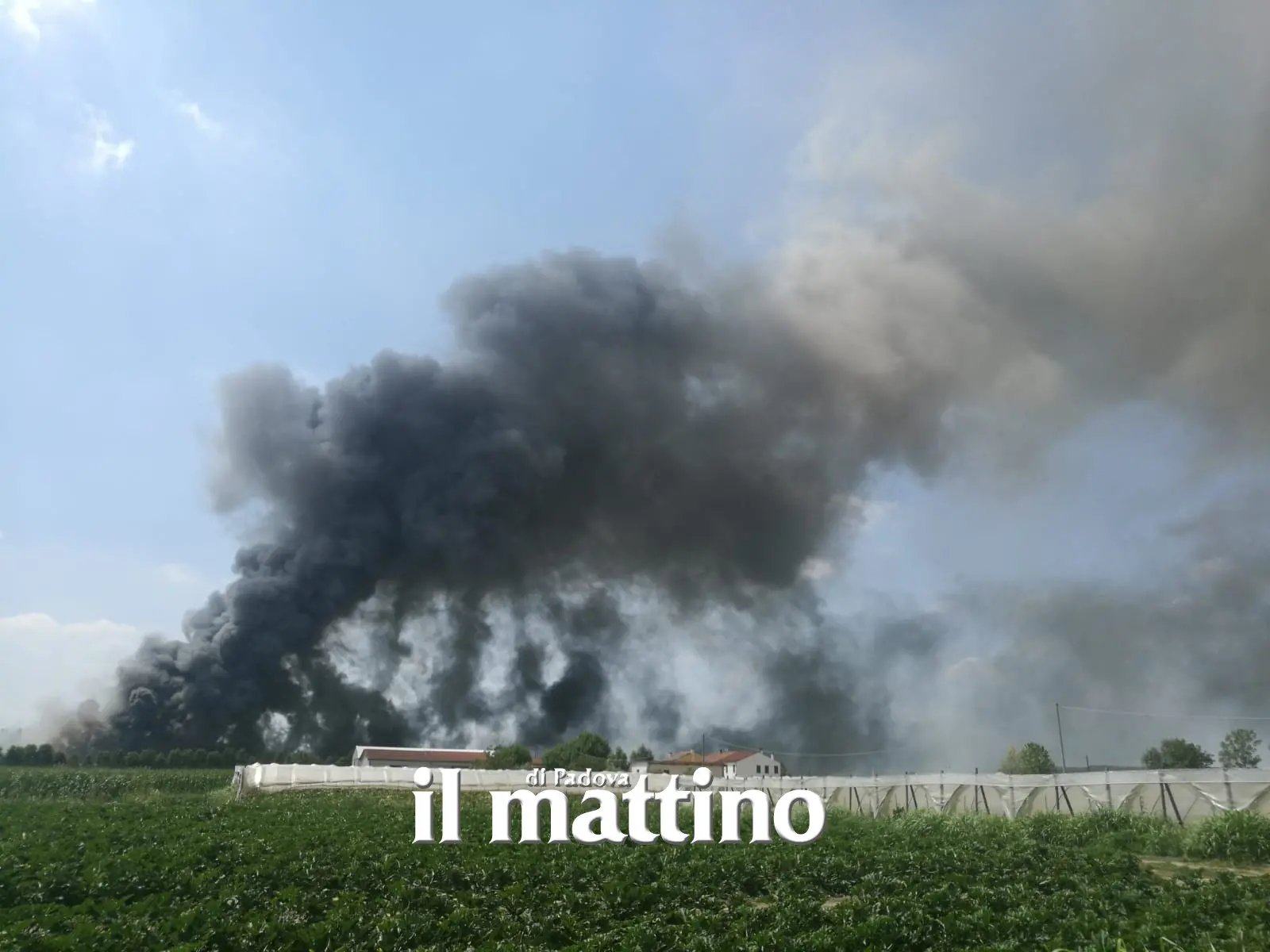 Lo spaventoso incendio nell'allevamento di Borgo Veneto