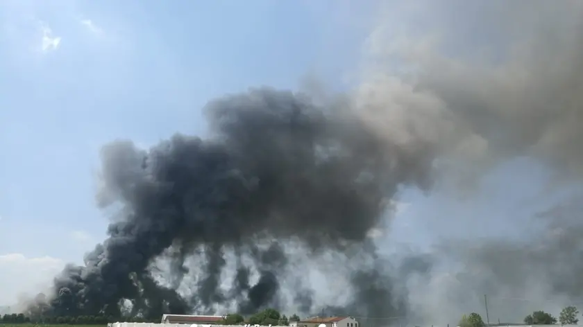 Lo spaventoso incendio nell'allevamento di Borgo Veneto