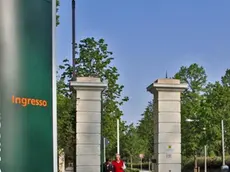 PUCCI TREVISO SEDE DELLA PROVINCIA A SAN ARTEMIO AGENZIA FOTOGRAFICA FOTOFILM
