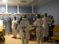 Operatori sanitari, che indossano tute protettive mediche e mascherine, al lavoro nella terapia intensiva dell'Ospedale Sant'Orsola di Bologna, 12 novembre 2020. Ieri in Italia Ã¨ stata superata la soglia dei 600.000 casi attualmente positivi, tra casi in isolamento domiciliare, ricoverati con sintomi e in terapia intensiva. Questo dato Ã¨ importante perchÃ©, un'epidemia si definisce 'fuori controllo' nel momento in cui i positivi superano l'1% della popolazione e ieri, oltre ad aver sperato il milione di casi da inizio pandemia, in Italia Ã¨ stato superata questa soglia di popolazione attualmente con infezione da Sars-Cov-2. Ansa/Max Cavallari