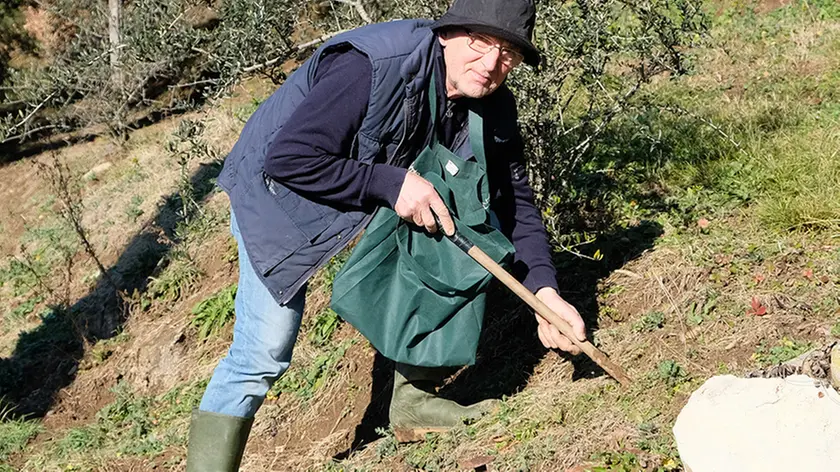 BELLUCO-FOTOPIRAN-TEOLO-RACCOLTA RAPERONZOLO MONTE MOSCALBO' roberto scarabottolo