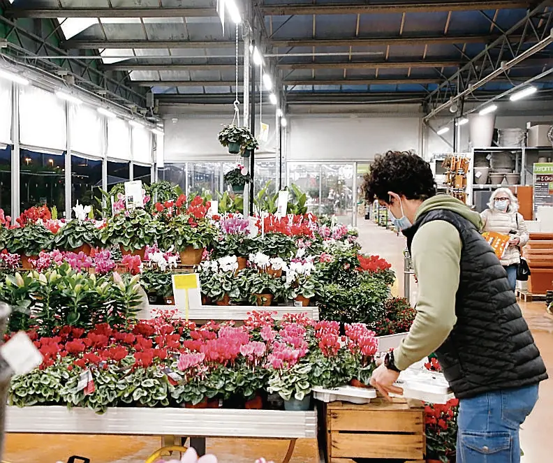 Una cliente al Garden center di Robegano sceglie la pianta giusta per il suo terrazzo