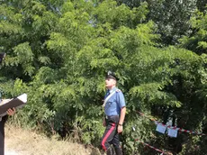 MALAGOLI RITROVAMENTO BARA MORESSA BRENTA D'ABBA CORREZZOLA