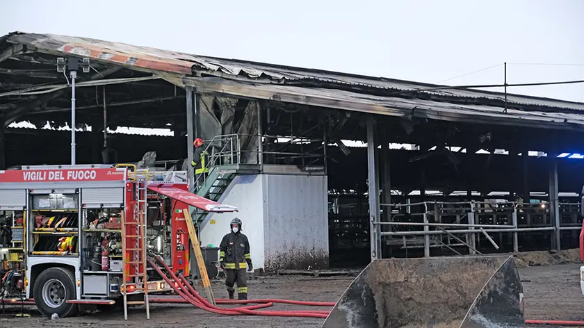 Vigili del fuoco nell'azienda agricola a Limena