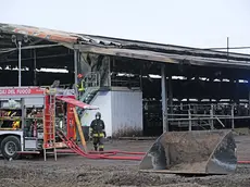 Vigili del fuoco nell'azienda agricola a Limena