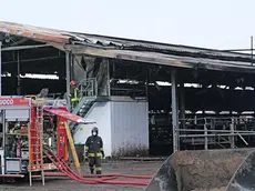 Vigili del fuoco nell'azienda agricola a Limena