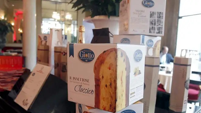MALAGOLI - PANETTONE COOPERATIVA GIOTTO AL PEDROCCHI