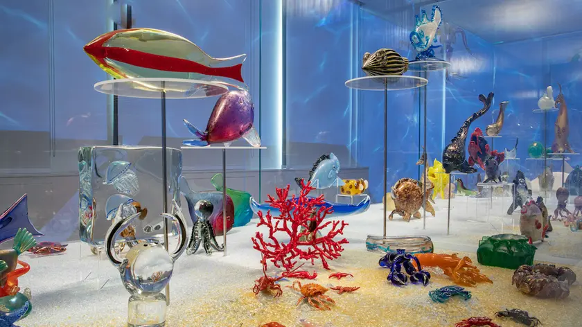 L’Arca di vetro. La collezione di animali di Pierre Rosenberg, Fondazione Cini Venezia