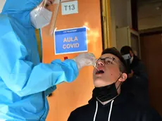 15/01/2021 Prato, progetto ''Scuola sicura'', all'istituto Buzzi viene effettuato un tampone rapido agli studenti