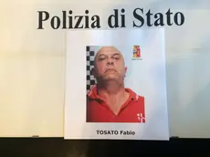 Fabio Tosato