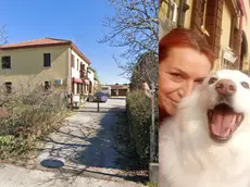 La struttura chiusa dai Nas a Campodoro e a destra la titolare, Marisa Maragno, con la sua Elly