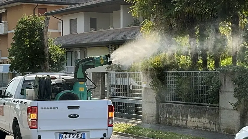 Un intervento di disinfestazione