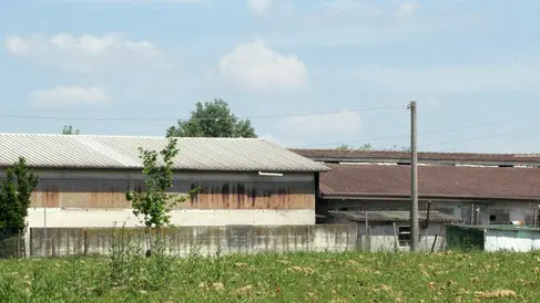 BELLUCO.SEQUESTRO STALLA VIA BOSCHIERA 41 PIAZZOLA SUL BRENTA