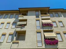 Case Ater in via Michelangelo Buonarroti a Monselice