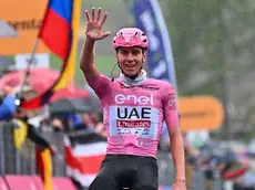 Slovenian rider Tadej Pogacar of Uae Team Emirates celebrates after crossing the finish line and win the 16th stage of the 107 Giro d'Italia 2024, cycling race over 202 km from Livigno to Santa Cristina Valgardena, Italy, 21 May 2024. ANSA/LUCA ZENNARO