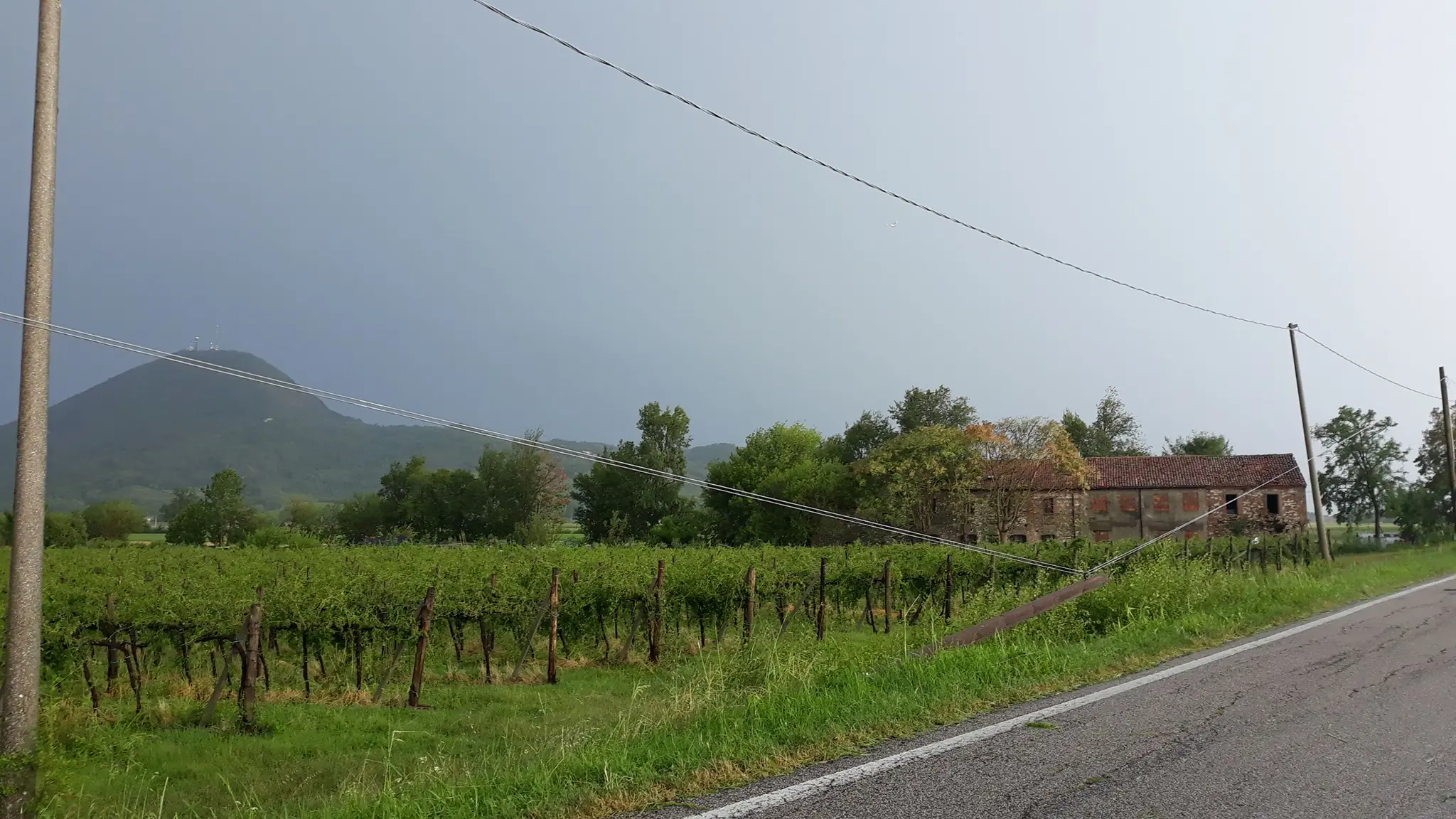 La linea elettrica caduta su un vigneto dei Colli (fonte pagina Fb di Luca Tec)