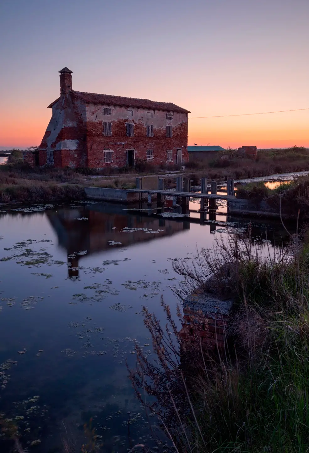 Lio Piccolo, Cavallino - Treporti, Venezia province, Veneto, Italy, Europe