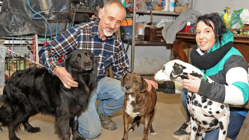 Ospedaletto Euganeo (PD), 12.01.2015 Avvelenamento di due cani a casa di Maurizio Ruggin in via Palugana lunga 35 ph. Zangirolami Nella foto: Maurizio Ruggin e la figlia Inga con i cani superstiti