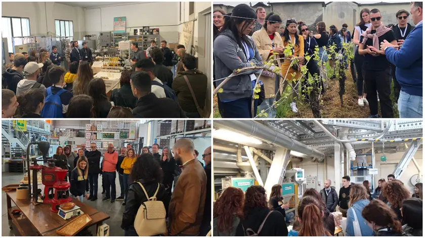 Visite guidate ad aziende dell'enogastronomia nelle precedenti edizioni di WeFood