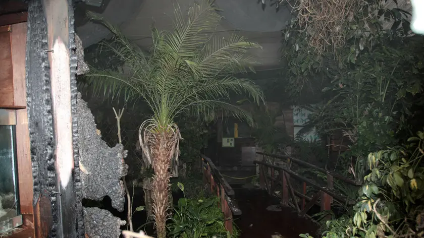 BELLUCO INCENDIO BUTTERFLY ARC MONTEGROTTO