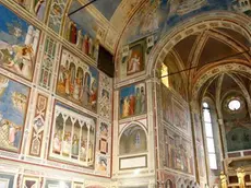 PD 23 novembre 2005 G.M...Cappella degli Scrovegni, conferenza stampa per restauri. ..(COMELLO) Cappella degli Scrovegni - Comello