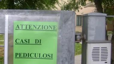 PEDICULOSI. L’avvertimento alla scuola di Fiumicello