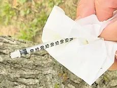 La siringa trovata nel parco