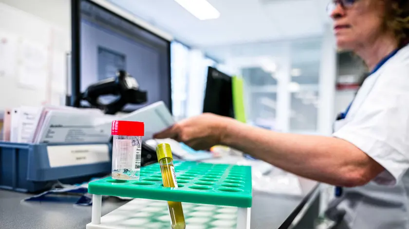epa08269473 An employee of a medical laboratory receives a sample to test for the coronavirus SARS-CoV-2 in Roosendaal, The Netherlands, 04 March 2020. EPA/ROB ENGELAAR