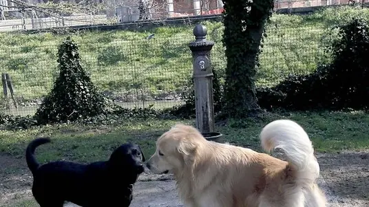 ZANETTI - AREA CANI GIARDINI ARENA