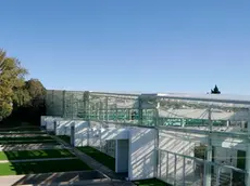COLTRO - ORTO BOTANICO - PRESENTAZIONE DELLA NUOVA ALA.