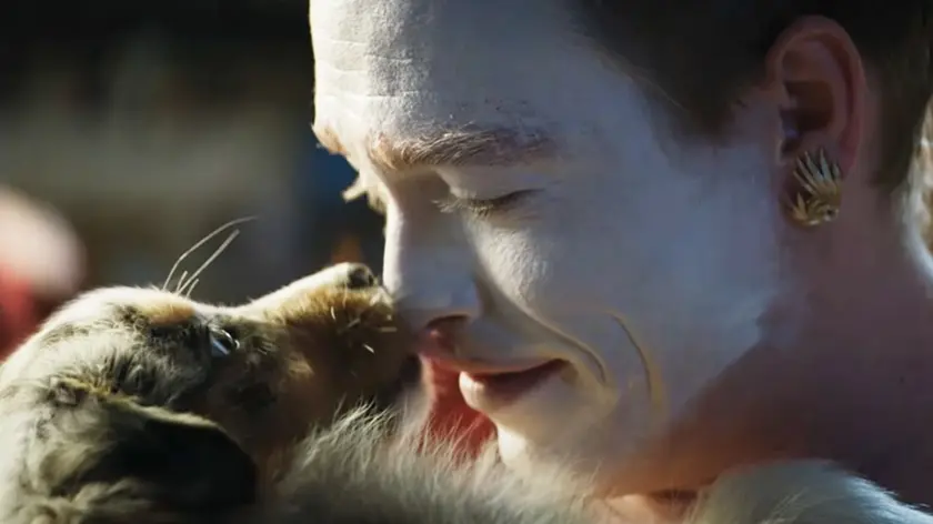 Il film "Dogman"