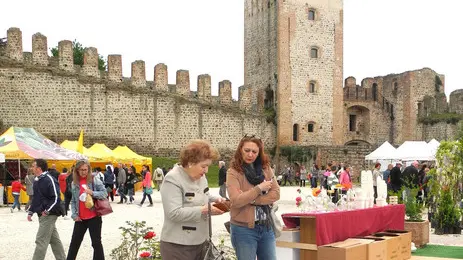 Este, 13 Apr 2014.Este in fiore 2014..Ph. Zangirolami