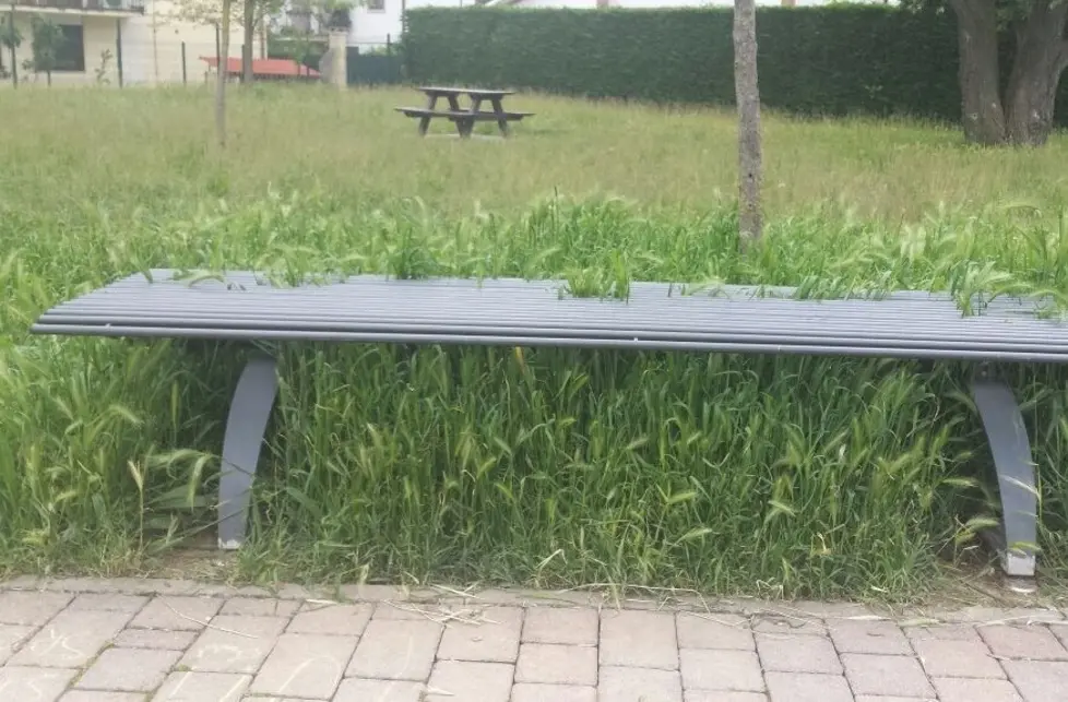 Le condizioni del verde al parco Usignolo