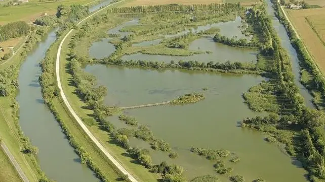 Una veduta aerea dell’oasi di Ca’ di Mezzo a Codevigo