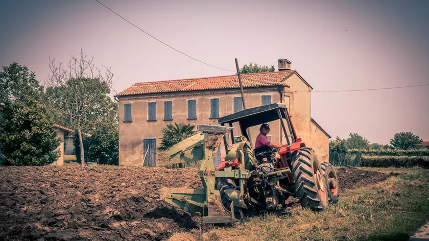 Lavoro nei campi: è finito in un nulla di fatto il progetto di recuperare terreni incolti per destinarli a giovani agricoltori